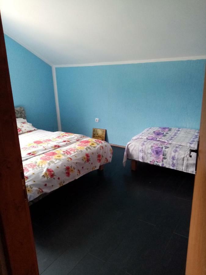 Apartman Pivsko Jezero 호텔 플루지네 외부 사진