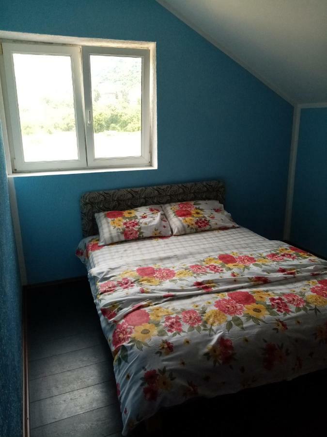 Apartman Pivsko Jezero 호텔 플루지네 외부 사진